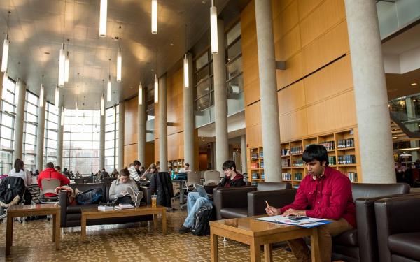 Students studying in library